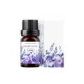 Lavender essential oil 10ml set with brown glass bottle and floral decorative box - Lavender
