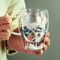 Double-walled borosilicate glass cup with white and blue dried flowers insulation - A-1129 / 350ml