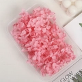 Pétalos de hortensia preservada rosa en caja transparente para manualidades DIY - 5g / rosa fuerte