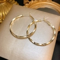Elegant gold twisted hoop earrings with a 925 silver needle on a luxury gift box - E5299 Gold Spiral Hoops