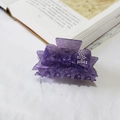 Pince à cheveux élégante en acétate violet avec nœud et lettres SS en strass scintillants - Violet