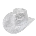 Detailopname van zilveren pailletten cowboyhoed met reflecterende textuur en brede rand - M(56-58cm) / Zilver
