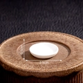 Mini assiette en céramique blanche pour maison de poupée de 2,5 cm pour décor DIY - Disque Rond