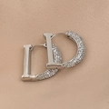 Detailed macro view of silver D-letter earrings with shimmering pave-set zircon crystals - Silver Zircon Letter D Earrings / Silver