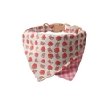 Dog bandana collar with red mushroom and rabbit pattern on cream fabric with pink buckle - Rabbit Mushroom Bandana Collar