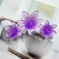 Glossy purple gradient plumeria flower hair claw clip for women's hairstyling - Purple