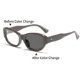 Gafas fotocromáticas cat eye con montura gris oscuro y transición de lentes claras - Marco Gris Marrón Fotocromático / Gris Café