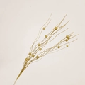 Champagne gold glitter artificial Christmas stem with wavy branches and small decorative beads - With Berries / Gold