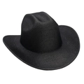 Dettaglio cappello da cowboy nero glitterato con tesa larga e finitura lucida testurizzata - Nero