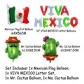 Mexican Viva Mexico balloon set with cactus and flag foil balloons for themed party decor - Mexican Party Decoration Set