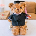 Adorable graduation teddy bear plush in black bachelor gown with pink tassel and diploma - Brown Braided Graduation Bear - Pink Collar / 30 cm