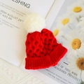Red 20cm doll knit hat with a white pompom for plush dolls displayed on a card - For 20cm Doll / Red Pompom Hat