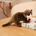 Süße dunkelbraune Plüsch-Seeotterpuppe mit weißem Bauch auf einem Holztisch liegend - Braun / 33CM