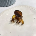 Minimalist amber tortoise shell acetate hair claw with France Handmade gold engraving - Thickened 5-Teeth Claw (Approx. 4.6cm) / American Coffee (Amber)