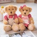 Pair of plush teddy bears in red plaid outfits for couples gift collection - 30cm Pair / Red Plaid Apron