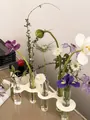 Vase tube à essai à base ondulée nordique avec tubes en verre pour fleurs créatives - 5 Tubes (Sans Fleurs)