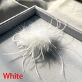 Macro di una spilla in piume di struzzo bianche in un'elegante scatola per gioielli grigia - Bianco