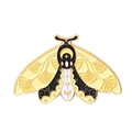 Light Yellow Black White Celestial Moth