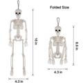 Realistic 16-inch plastic skeleton prop dimensions showing unfolded and folded sizes - 40CM White Style