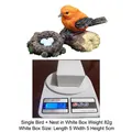 Miniature resin orange bird with nest and blue eggs, weight 82g, size 5x5x5 cm - Orange Bird + Nest