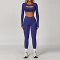 Zweiteiliges lila Yoga-Set mit hohl geschnittenem Langarmshirt und V-Taille-Leggings - 4501 Langarmhemd + 4501 Hose – Rosenblau / S