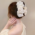 Pince à cheveux élégante en résille blanc nacré avec paillettes sur une coiffure relevée - 2# Modèle Bulle Double Face Abricot