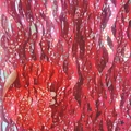 Makro-Detail des roten S-förmigen Fransenvorhangs mit silbernen Sternen und Wellentextur - Keramik S-Form / 1*2M / Rot