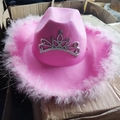 Sombrero de vaquero rosa con corona de pedrería plateada y borde de plumas rosas - Rosa Pequeña Corona de Diamantes de Imitación Borde de Plumas