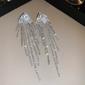 Makroaufnahme von glitzernden Silber-Quastenohrringen mit Mikrozirkonia und Luxus-Glanz - Silber
