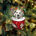 Weihnachtsanhänger mit Dalmatiner-Hund im roten Nikolausstiefel und Rentiergeweih - Dalmatiner Typ