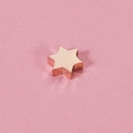 Polished rose gold stainless steel Star of David bead for DIY jewelry making - Rose Gold