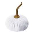 Zucca decorativa in velluto bianco con un lungo gambo dorato intrecciato - 7cm / Bianco