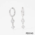 Elegant silver stainless steel earrings with sparkling round and square zircon pendants - Double Zircon Round Square Style (PD3145) / Silver