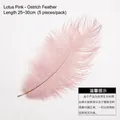 Dusty pink natural ostrich feathers for DIY floral bouquets, 25-30cm length, pack of 5 - Lotus Root Pink (25-30cm)