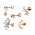 Detailed set of five rose gold geometric stud earrings with sparkling zircon inlay - Set 22 (Rose Gold/Drill Heart Pendant/Leaf)