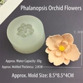 Macro detail of orchid flower silicone mold with precise floral texture and dimensions - Phalaenopsis Orchid Flower Mold