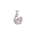 Silver horseshoe with horse head pendant in stainless steel with spring clasp - Horse Head Pendant - Steel Color