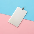 Polished silver stainless steel rectangular pet tag with metal ring on dual-tone background - Steel With Clasp
