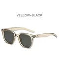 Translucent yellow frame sunglasses with dark grey lenses and silver arrow detail - Transparent Green Frame Grey Lens