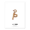 18K gold-plated brass letter P pendant with bamboo texture and spring clasp for DIY jewelry - Letter P