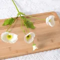 4-Fork Corn Poppy White