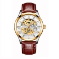 DEDIMA luxury men's automatic mechanical watch with skeleton dial and brown leather strap - Brown Strap Gold Case White Dial