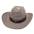 Western style striped straw cowboy hat with wide rolled brim and metallic longhorn bull ornament - One Size / Coffee White With Drawstring (Golden Bull Head)