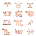 Roségoldene Edelstahl 15mm Sternzeichen Anhänger für DIY Schmuck und Armbänder - Steinbock (CAPRICORN-10) / Roségold