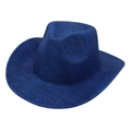 Classic dark blue western cowboy hat with curved brim and textured finish on white background - One Size / Blue 1 (Dark Blue)