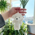 White Dog With Simple Chain