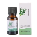 Eucalyptus water soluble fragrance oil in amber bottle with box for aromatherapy humidifiers - Eucalyptus