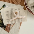 Primer plano de una elegante pinza para el cabello de acetato nacarado con libros vintage - Cruzado