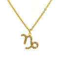 Collier capricorne en plaqué or 18 carats orné de zircons scintillants - Style Capricorne (SN226-10-45CM)