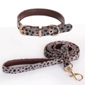 Adjustable leopard print pet collar and leash set with golden metal hardware - 25-38M / Collar & Leash Set / Gray